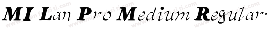 MI Lan Pro Medium Regular字体转换